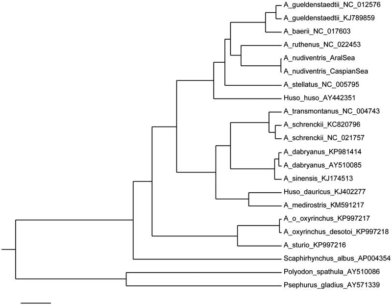 Figure 1.