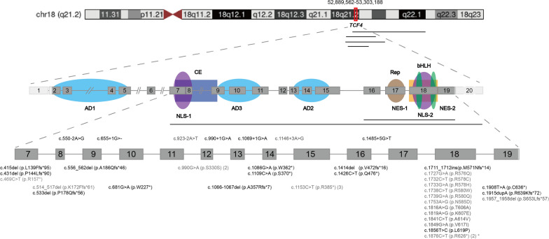 Fig. 1