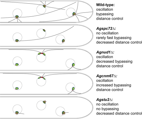 Figure 9.