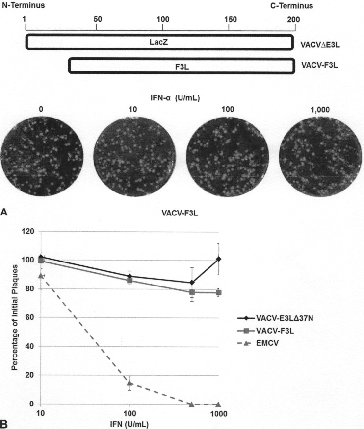 FIG 7