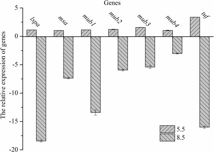 Fig 5