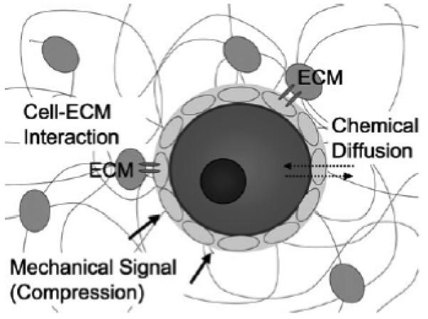 Fig. 2.2