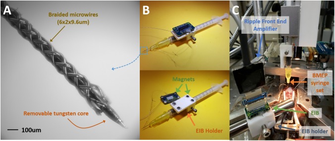 FIGURE 3