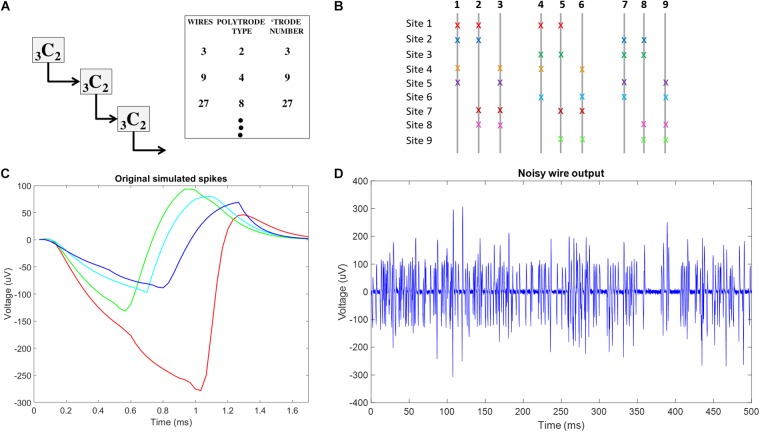 FIGURE 4