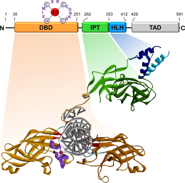 Fig 2