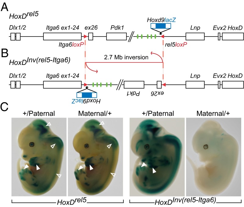 Fig. 1.