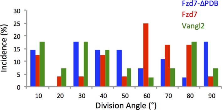 Figure 3—figure supplement 2.