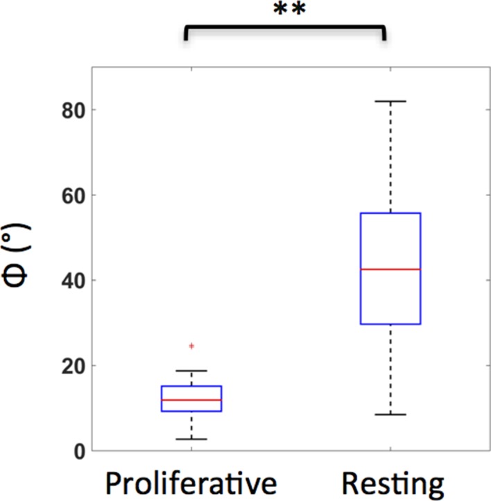 Figure 1—figure supplement 1.