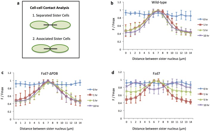 Figure 6—figure supplement 3.