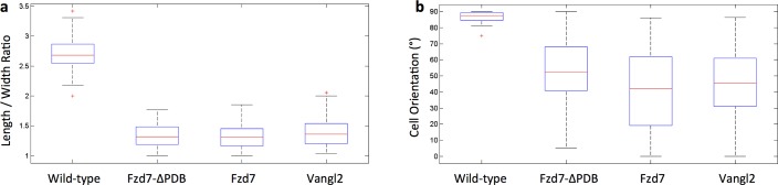 Figure 3—figure supplement 1.