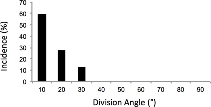 Figure 2—figure supplement 1.