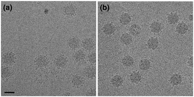 Fig. 2