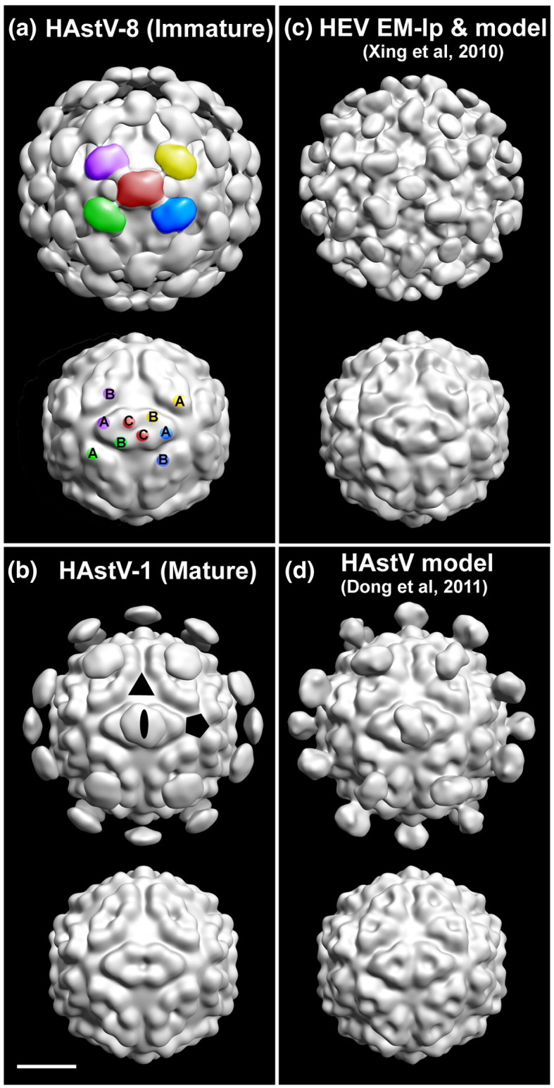 Fig. 3