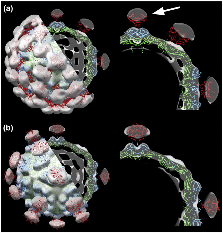 Fig. 4