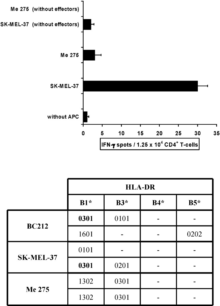 Fig. 4