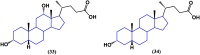 Figure 28