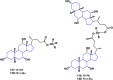 Figure 41