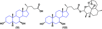 Figure 43