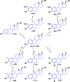 Scheme 5