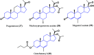 Figure 30