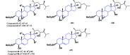 Figure 31