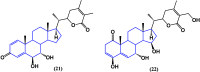 Figure 19