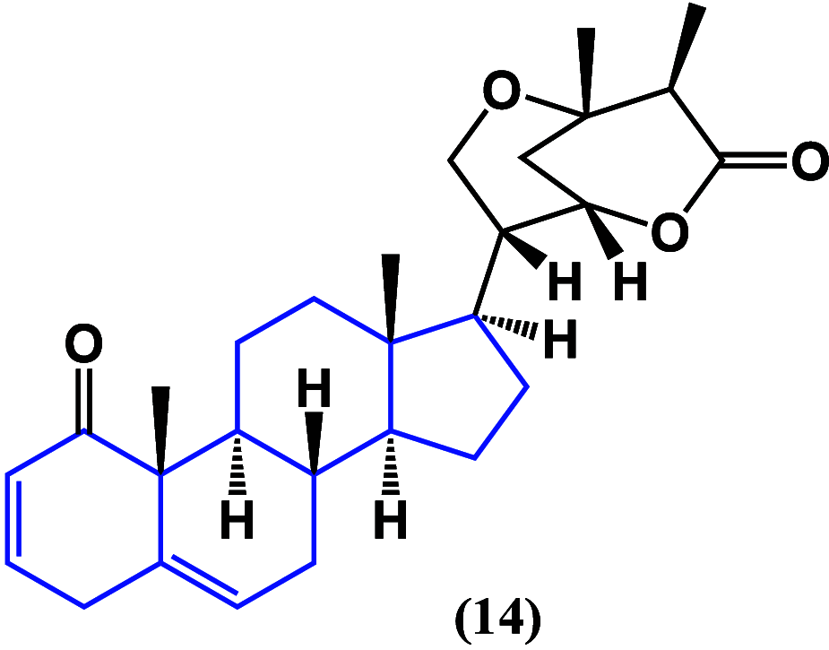 Figure 13