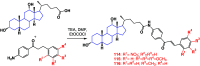 Scheme 6
