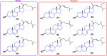 Figure 32