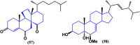 Figure 33