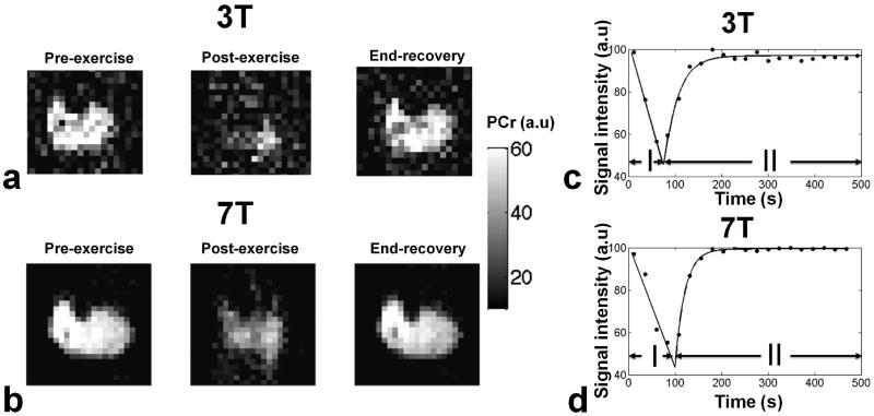 Fig.4