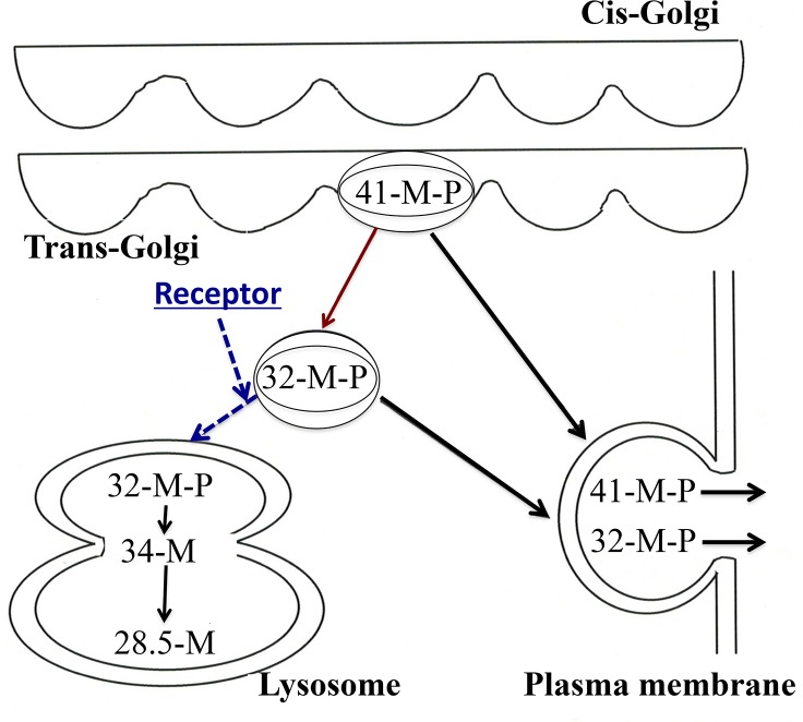 Fig 4