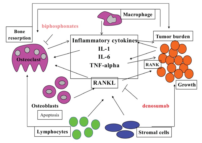 Fig. (5)