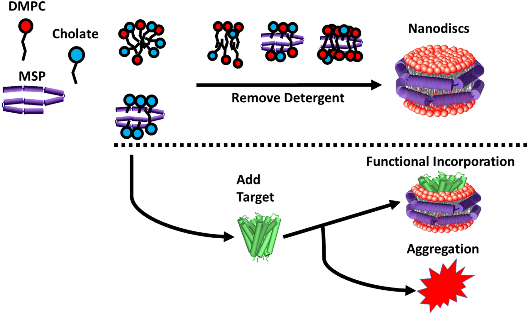 Figure 4: