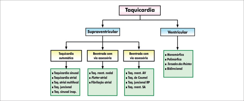 Figura 6