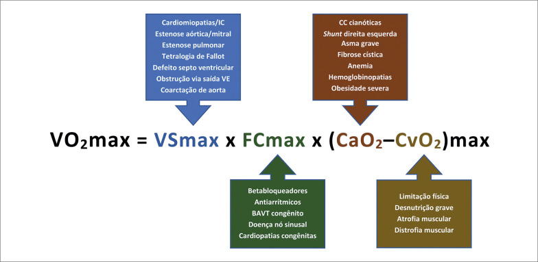 Figura 1