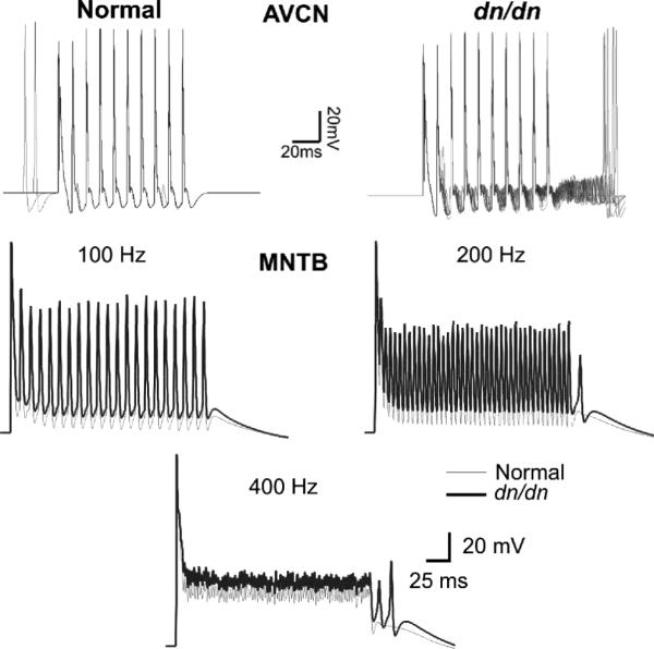 Fig. 8