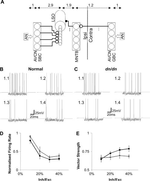 Fig. 9