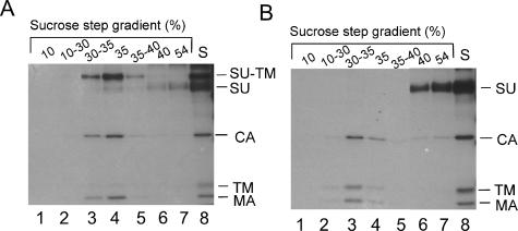 FIG. 5.