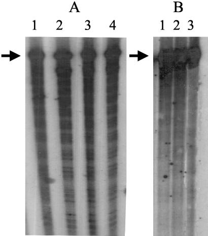 FIG. 7.