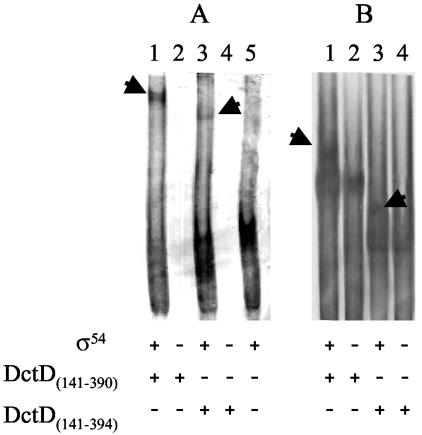 FIG. 5.