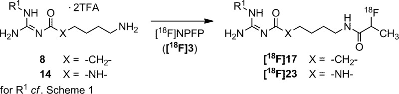 Scheme 2