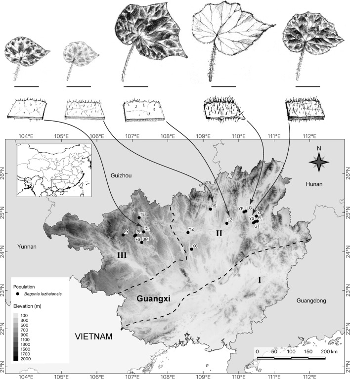 Fig. 2