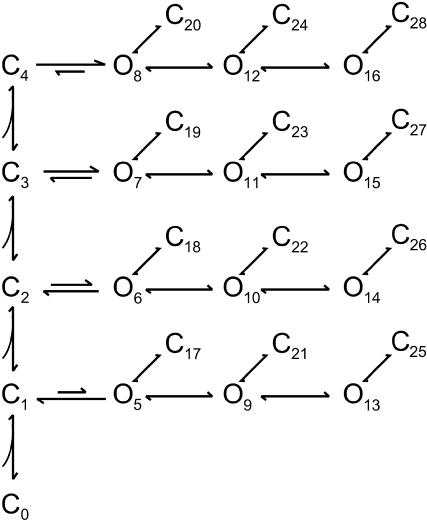 SCHEME IV