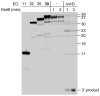 Extended Data Figure 2