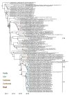 Extended Data Fig. 3