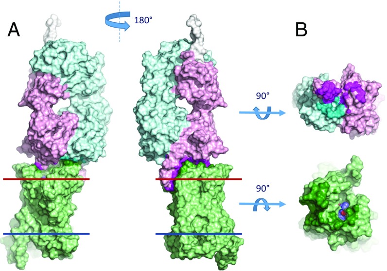 Fig. 2.