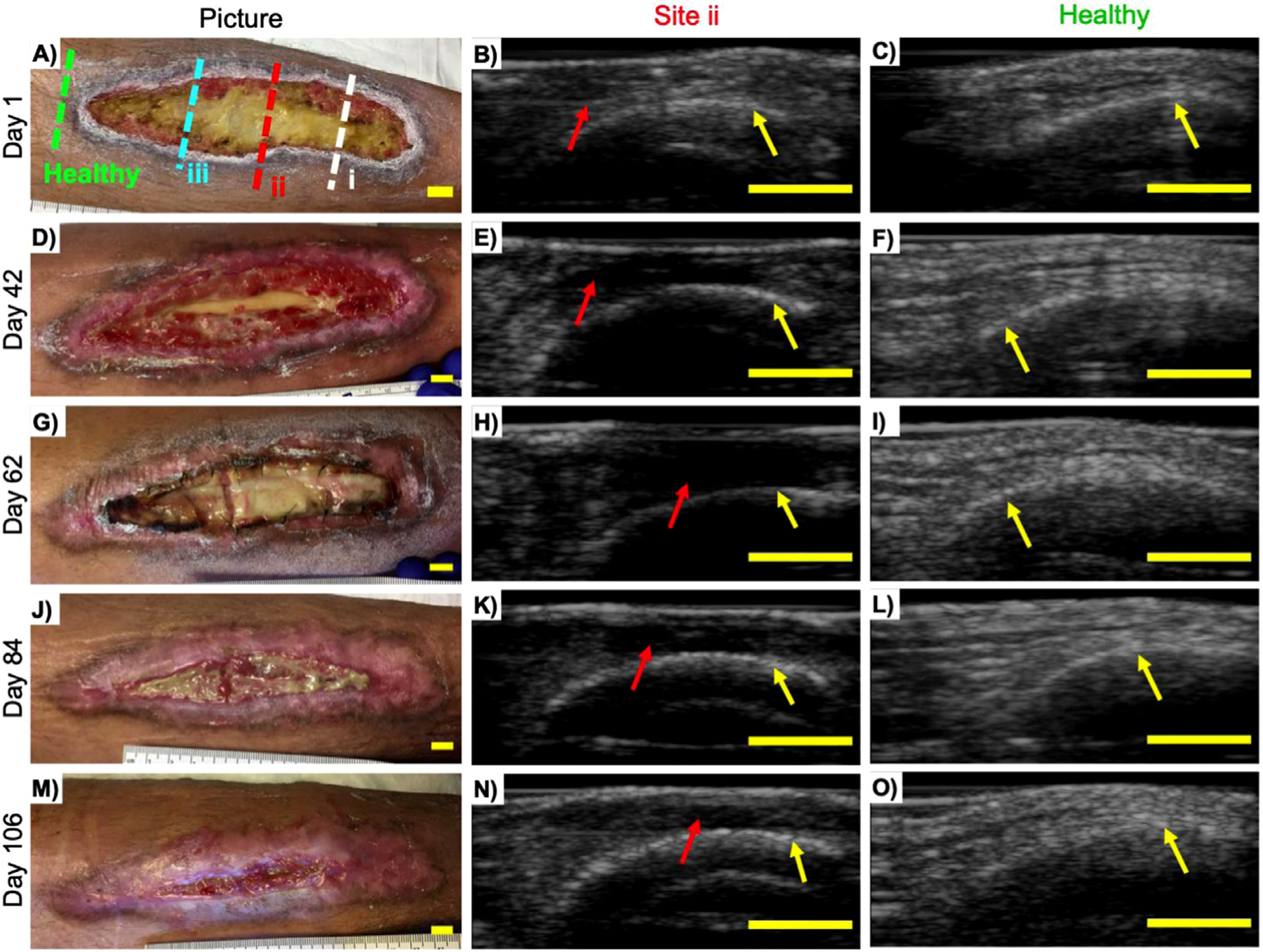 Fig. 4.