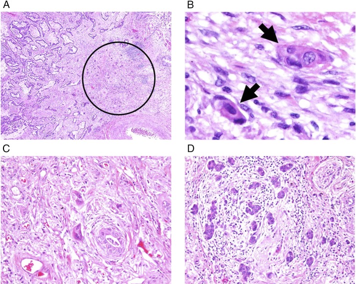 Figure 2 – 