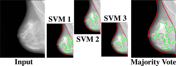 Fig. 3: